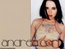 Andrea corr