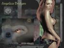 Angelica bridges