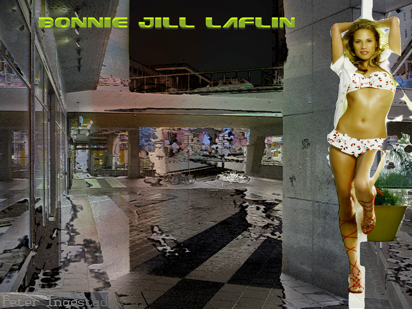 Bonnie jill laflin