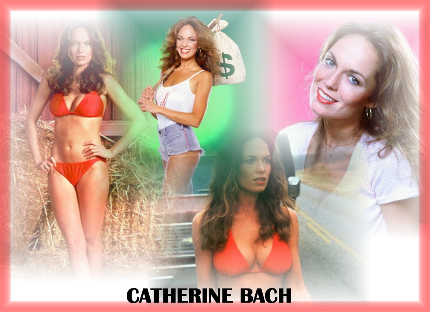 Catherine bach