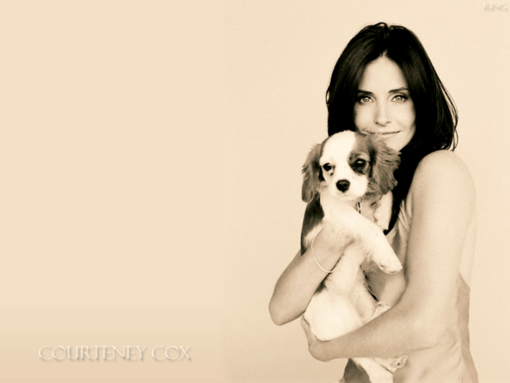 Courteney cox