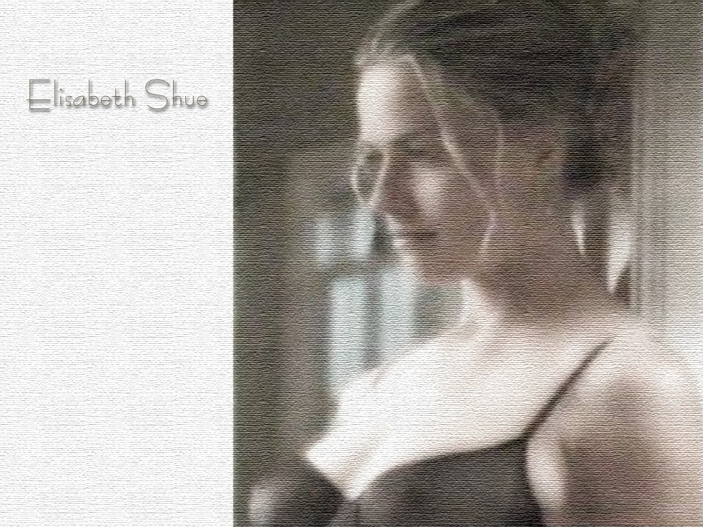 Elizabeth Shue - Picture Gallery