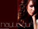 Haylie duff