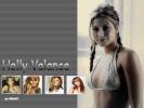 Holly valance