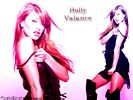Holly valance