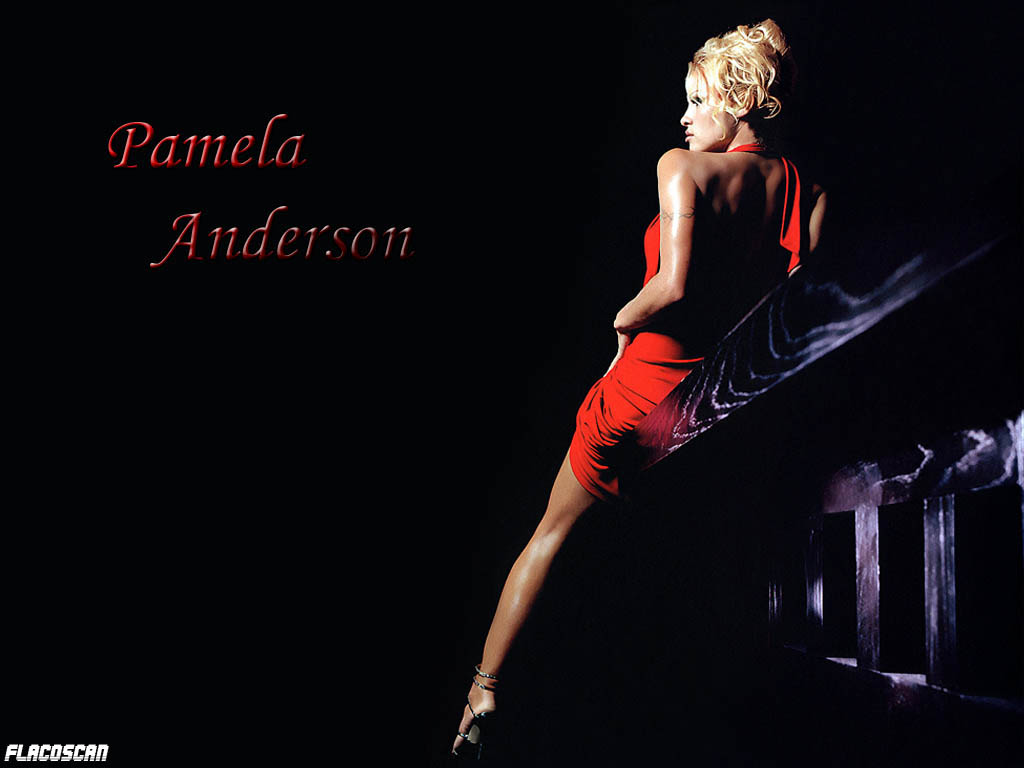 Pamela anderson