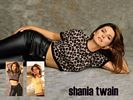 Shania twain