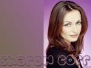 Sharon corr