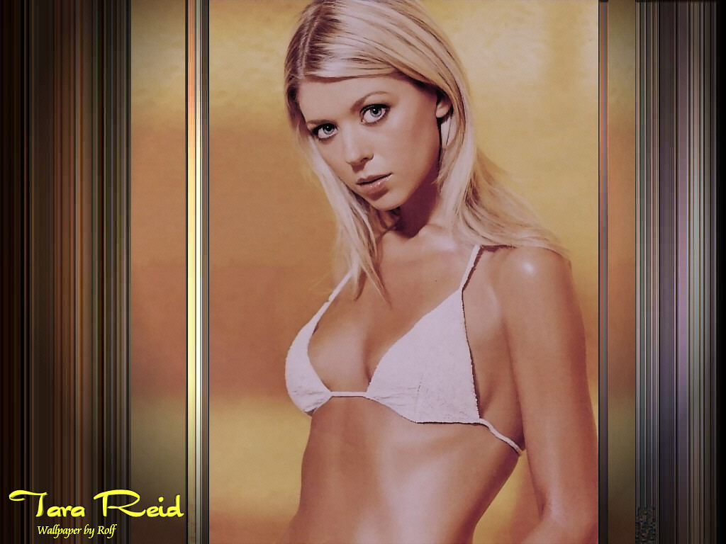 tara reid wallpapers. photos, images, tara reid pictures (14832)