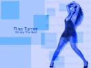 Tina turner