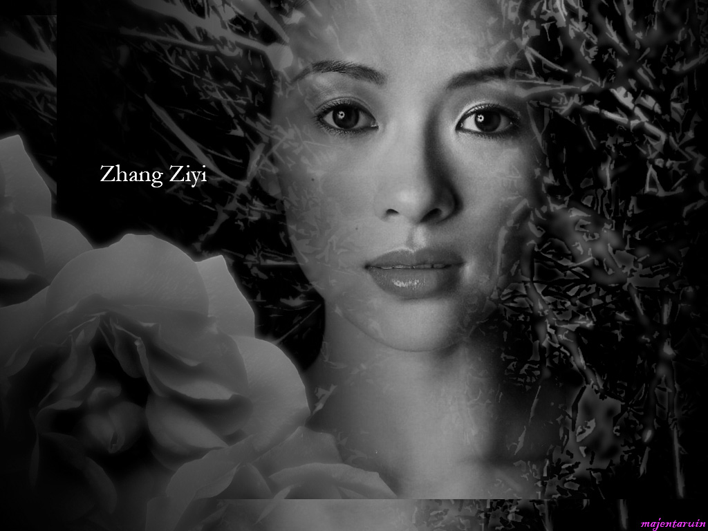 Ziyi Zhang - Photos Hot