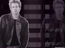 Ashley angel