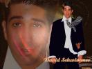 David schwimmer