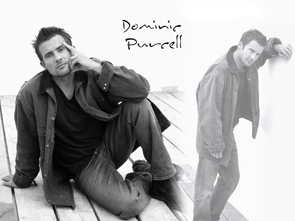 Dominic purcell