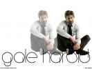 Gale harold