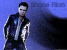 Shane filan