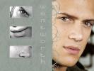 Wentworth miller